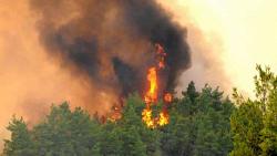 حرائق الغابات في تركيا ، وأجلت السلطات السياح ، ولا يزال عدد القتلى مرتفعا