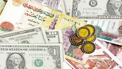 سعر العملات الاجنبيه في البنوك المصريه اليوم الاثنين 1752021