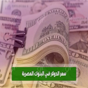 سعر الدولار في البنوك المصرية يستقر في تعاملات السبت 28 أكتوبر 2023
