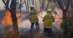 ارتفاع عدد ضحايا حرائق الغابات فى الجزائر الى 16 شخصا