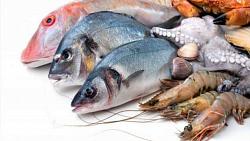 سعر الاسماك اليوم في سوق العبور البوري بـ48 والدنيس بـ120 جنيها