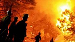 ارتفع عدد قتلى حرائق الغابات في الجزائر إلى 65