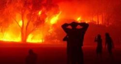 المغرب يعلن السيطره على حرائق اقليم شفشاون والخسائر تتجاوز 1100 هكتار