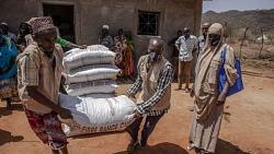 تقرير دولي يحذر استمرار الجفاف يزيد ازمه الجوع في القرن الافريقي