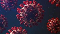العاجلة أصاب فيروس كورونا كوفيد 21 وكوفيد 19 أكثر من 198 مليون شخص حول العالم
