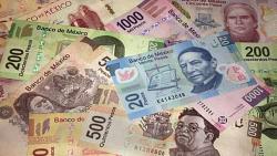 البنك المركزي المكسيكي يصدر امر رفع سعر الفائده 7 وتوقع بالزياده