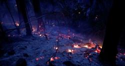 النيران تلتهم 20 الف هكتار من غابات ولايه اوريجون الامريكيه