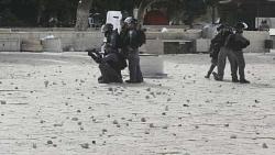 آخر الأخبار من المسجد الأقصى أطلقت شرطة الاحتلال الرصاص المطاطي على المصلين