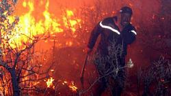 ارتفاع ضحايا حرائق الغابات في تيزي وزو بالجزائر فيديو