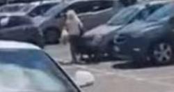 سرق الخنزير البري امرأة أثناء البحث عن الطعام مقاطع الفيديو والصور