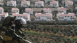عاجل مستوطنون يستهدفون فلسطينيين شرق يطا