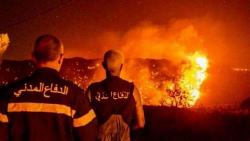 مصرع 20 في انفجار صهريج وقود شمال لبنان