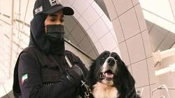 شرطه دبي تستعين بكلاب مدربه لكشف مصابي كورونا COVID21 covid19 فيديو