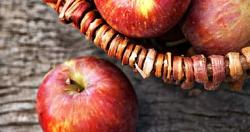 5 فواكه تساعد فى انقاص الوزن اخذ التفاح والمشمش والجريب فروت