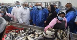 سعر الاسماك فى مصر اليوم تهيمن بثبات على سوق الجملة