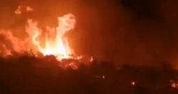 الجزائر تعلن ارتفاع عدد قتلى حرائق الغابات إلى 42