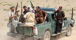 في الصراع مع القوات الأفغانية ، قتل 5 من عناصر طالبان البارزين