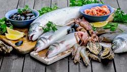 سعر السمك اليوم في سوق العبور الجمبري يصل لـ480 جنيها
