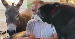 ارنولد شوارزنيجر يحتفل بعيد ميلاده الـ 74 برفقه كلبه وحماره