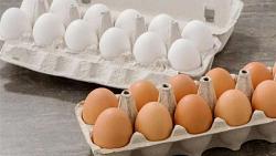 البيض رخيص في السوق ابتهجوا المصريين