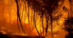 مصرع شخص جراء حرائق الغابات باقليم تشيليابنسك الروسي