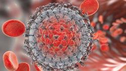 الفيروسات الكبديه نسبه الشفاء من فيروس سي تتجاوز 90 بشرط